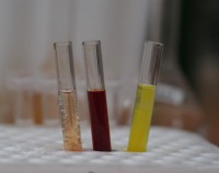 /album/chemicka-analyza-vody/p1010240-small-jpg2/
